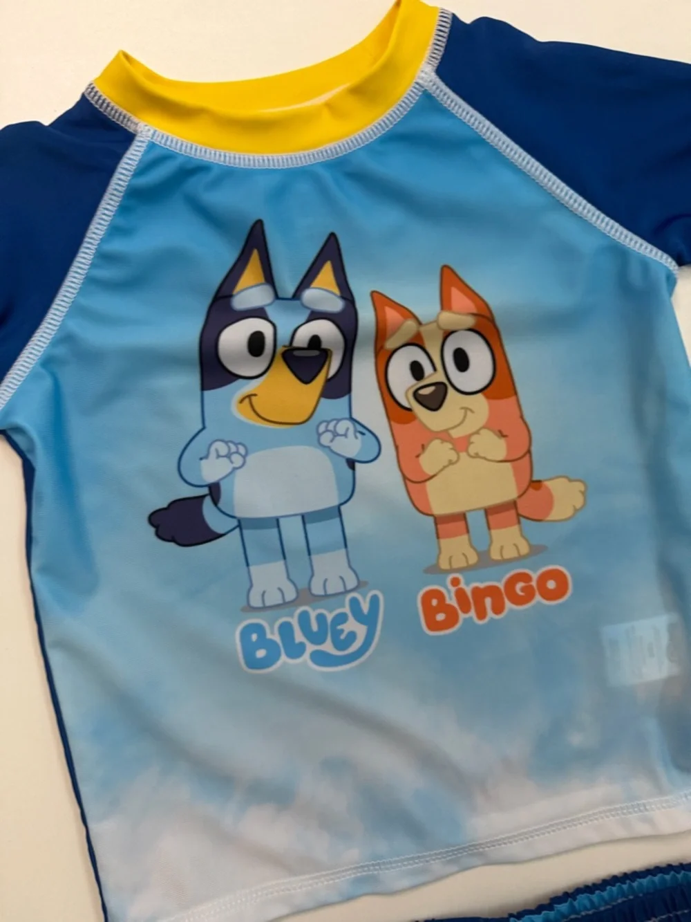 Bluey Rash Guard Swim Shorts Top 50+ UPF Travel Beach Pool Set 2 Kids 18 Month